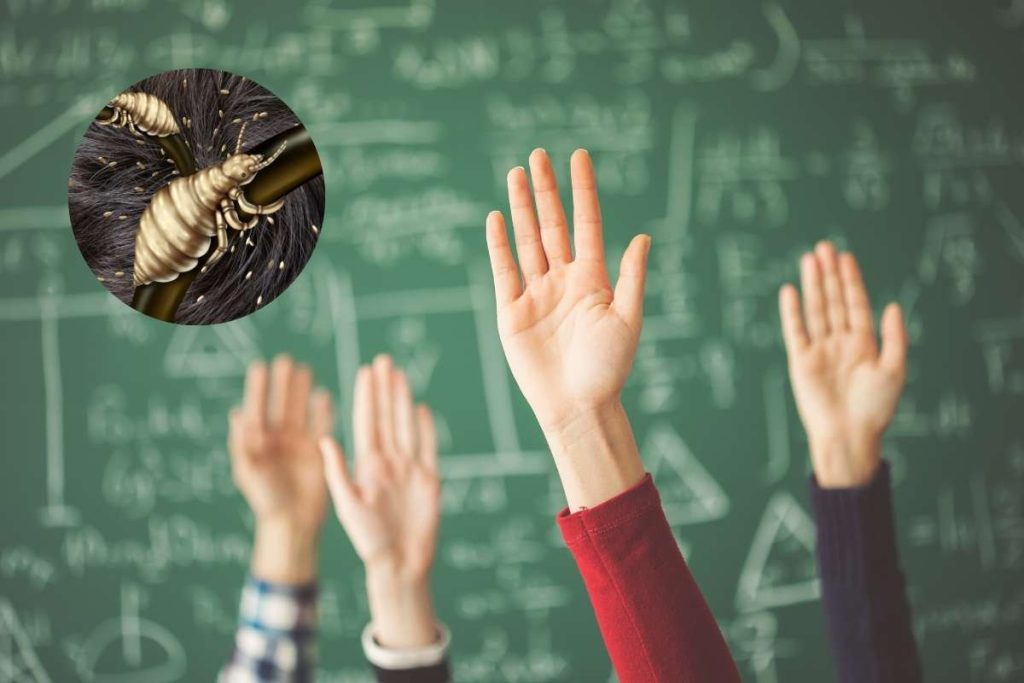 piojos regreso a clases